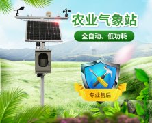 山東地區(qū)無公害葡萄種植需要什么條件？