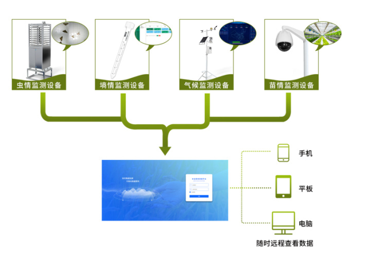 農(nóng)業(yè)四情監(jiān)測，智能化、自動化